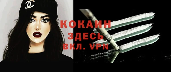 стаф Баксан