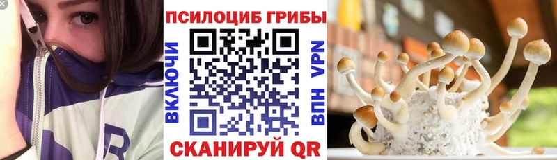 Галлюциногенные грибы прущие грибы  кракен ссылки  Вязники  купить наркоту 