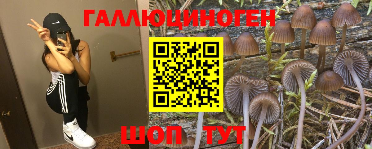 Псилоцибиновые грибы прущие грибы Вязники